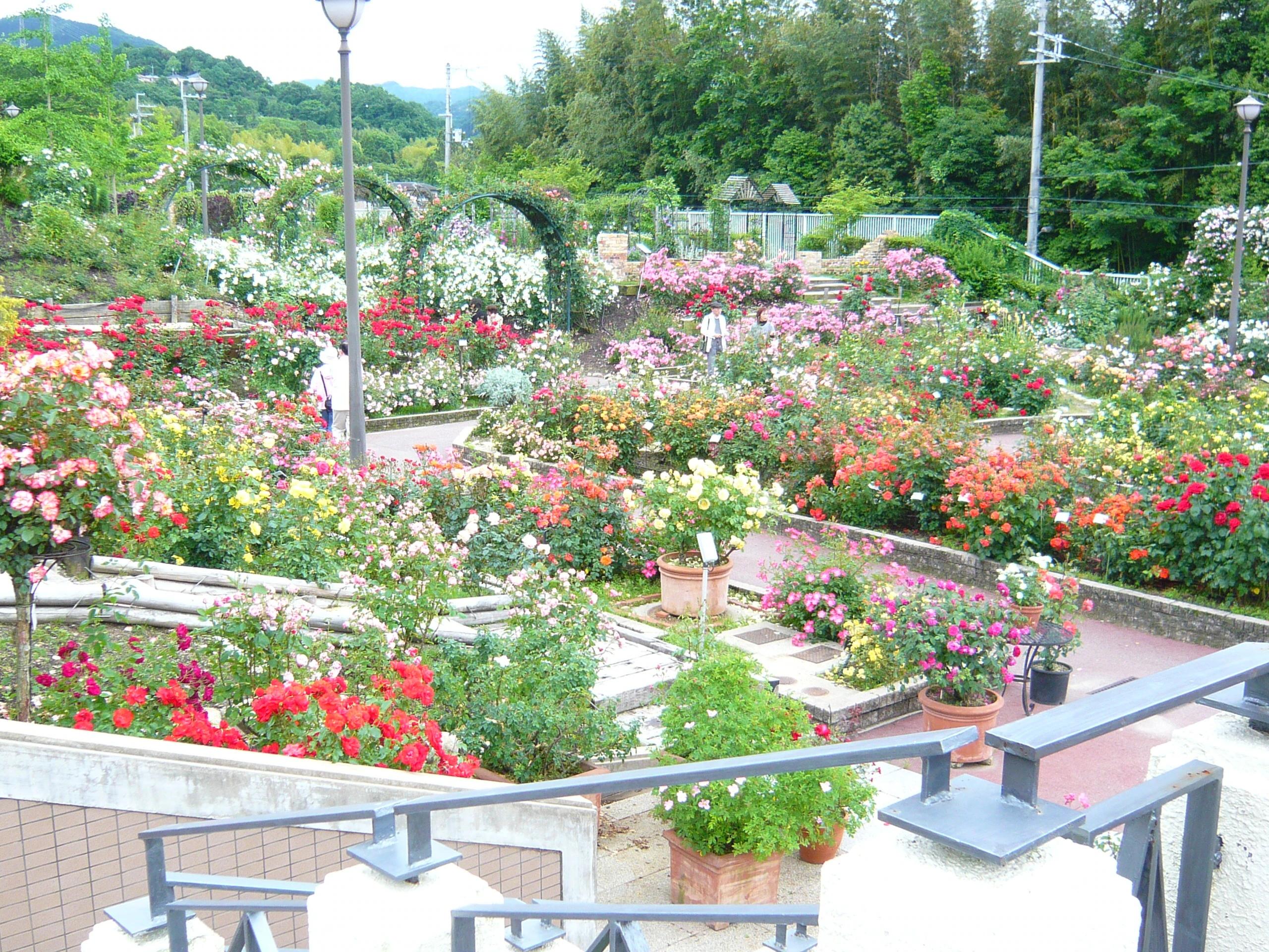 🏞️ 니시키오리 공원(錦織公園) 이미지 7